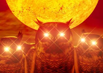 Moonbirds NFT Owl Collection Goes Supersonic