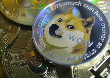 Dogechain’s layer 2 scaling solution is just a “fake” of DOGE