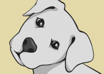 Interview with Dog Zone NFT