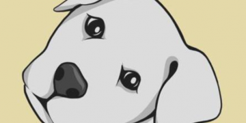 Interview with Dog Zone NFT