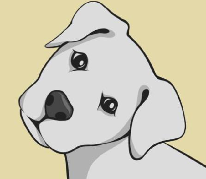 Interview with Dog Zone NFT