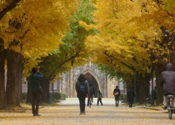 The University of Tokyo Takes the Classroom into the Metaverse