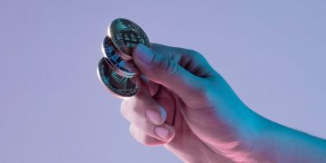 7 Percent Of Spaniards Invest In Crypto