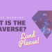 What Is The Metaverse Anyway?