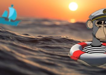 OpenSea CFO Steps Down – NFT Plazas