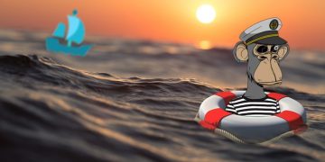 OpenSea CFO Steps Down – NFT Plazas