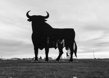 Is Big Bull Crypto Any Good?