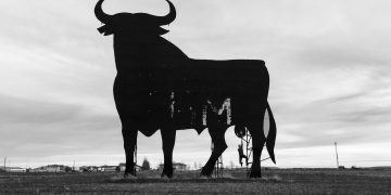 Is Big Bull Crypto Any Good?