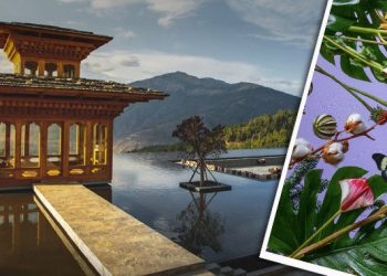 Hotel Giant Announces Luxury Travel Perks with NFTs –