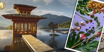 Hotel Giant Announces Luxury Travel Perks with NFTs –