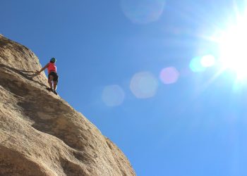 The variables which may influence an uptrend rally