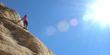 The variables which may influence an uptrend rally