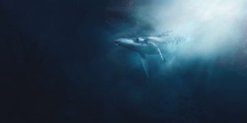 Why whales are interested in hodling despite price of Uniswap is down 25% from last month