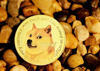 Dogecoin’s price increases as Elon Musk gives sneak peeks at Twitter 2.0 ambitions.