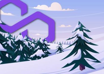 Polygon Ends the Year on a High