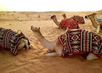 Ripple Partners With Joyalukkas Exchange in UAE to Enable Fast Global Payments