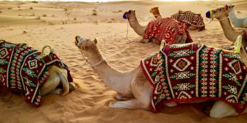 Ripple Partners With Joyalukkas Exchange in UAE to Enable Fast Global Payments