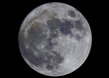 Ex-Coinbase President hired by Moonpay as President