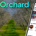 Nifty Orchard Companion App for NFT Aficionados!