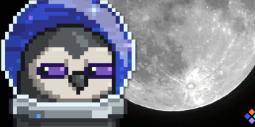 Moonbirds Blast Off on the Space Blue Mission to the Moon