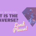 What Is The Metaverse Anyway?