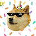 Upland Celebrates Kabosu Meme for ‘International Doge Day’