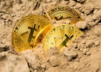 Bitcoin Price Drops Below $63K Amid Decrease in Whale Transactions