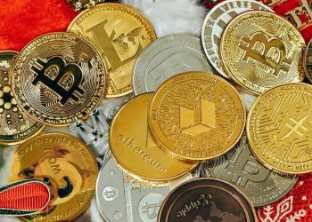 Bitcoin NFTs Rise as Altcoins and Tax Evaders Fall