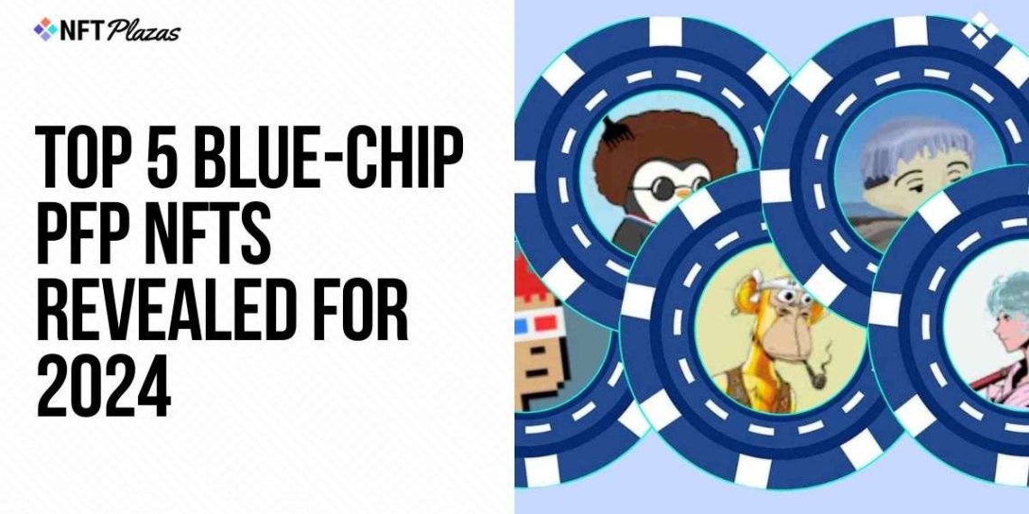 The Top Blue-Chip PFP NFTs of 2024