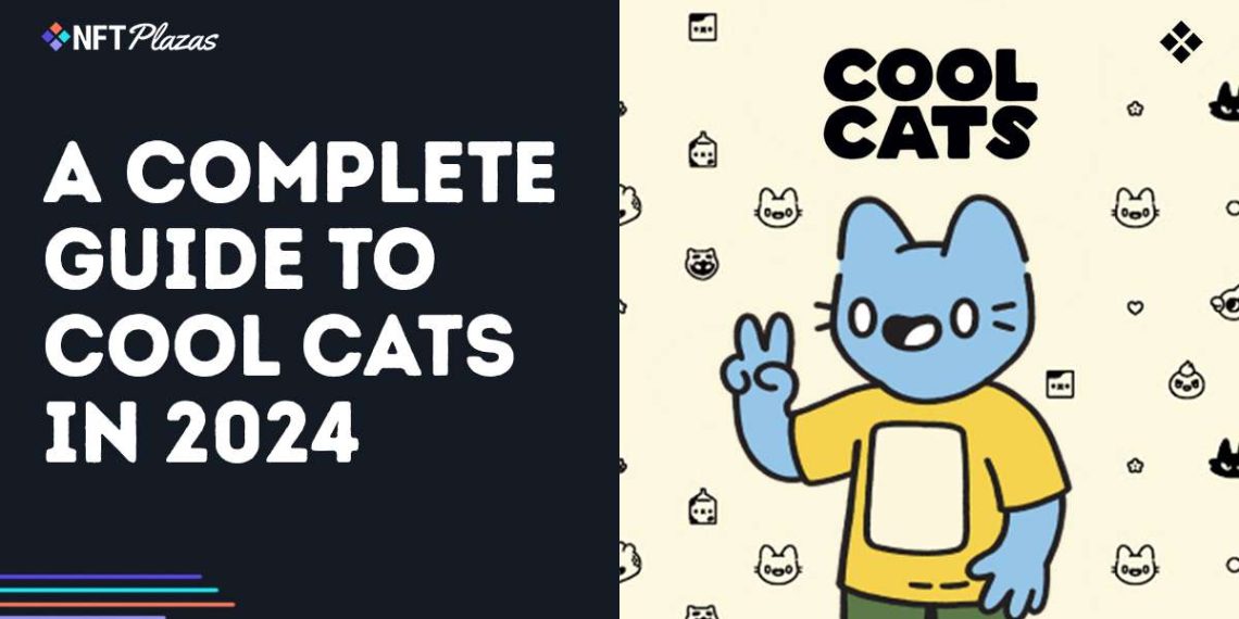 A Complete Guide to Cool Cats in 2024
