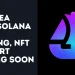 OpenSea Adds Solana Token Trading, NFT Support Coming Soon