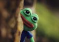 Investor Sues Pepe Meme Creator Over Role in North Korean NFT Hack
