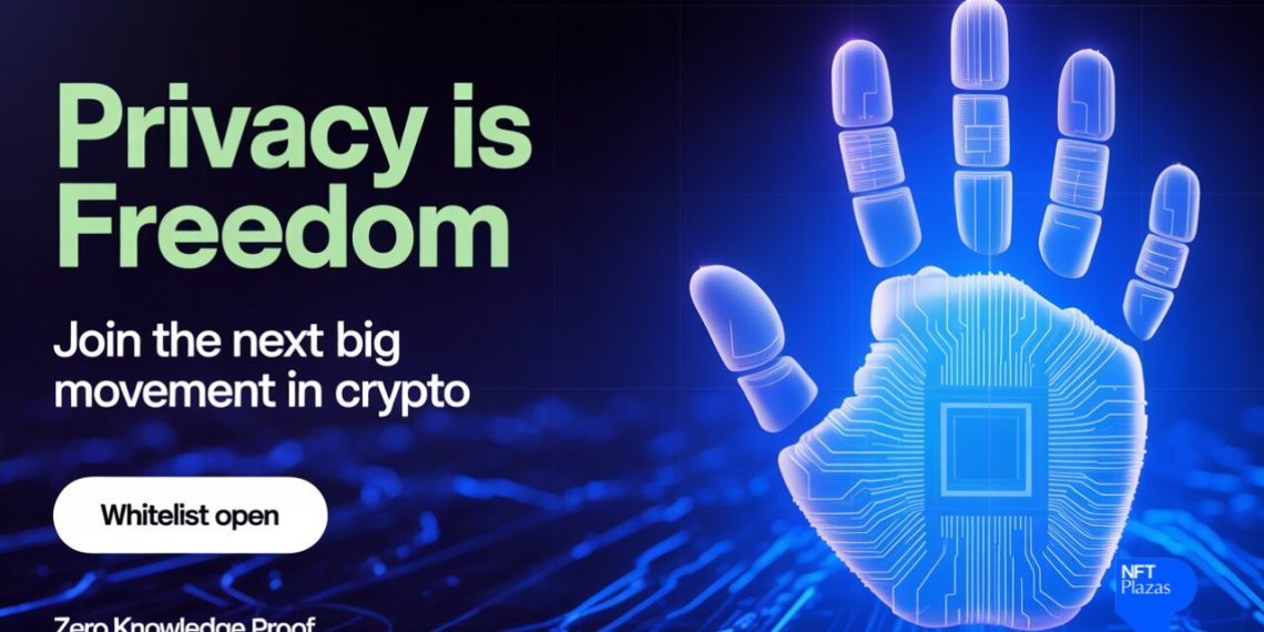 Zero Knowledge Proof Steals the Spotlight With $300/Day