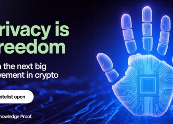 Zero Knowledge Proof Steals the Spotlight With $300/Day