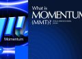What is Momentum (MMT)? ve(3,3) AMM DEX Model on SUI