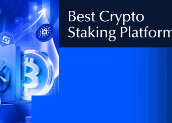 15 Best Crypto Staking Platforms for Maximum Rewards in 2025