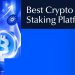 15 Best Crypto Staking Platforms for Maximum Rewards in 2025