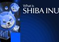 What Is Shiba Inu? Ecosystem, Risks, and Future Outlook