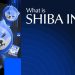 What Is Shiba Inu? Ecosystem, Risks, and Future Outlook