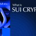 What is SUI Crypto? Comprehensive Guide to SUI Ecosystem in 2026