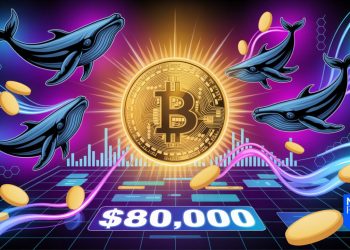 Bitcoin Price Targets $80,000 as 30-Day Whale Buys Hit 13-Year High?