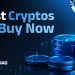 BlockDAG, BNB, XRP, and Dogecoin