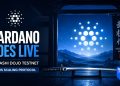 Cardano Goes Live With Musashi Dojo