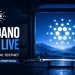 Cardano Goes Live With Musashi Dojo