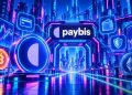Paybis Platform Review 2026: Fees, Payments, and User Trust