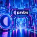 Paybis Platform Review 2026: Fees, Payments, and User Trust